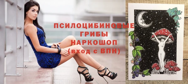 гидропоника Заводоуковск